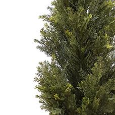120cm Artificial Natural Look Cedar Cypress Tree