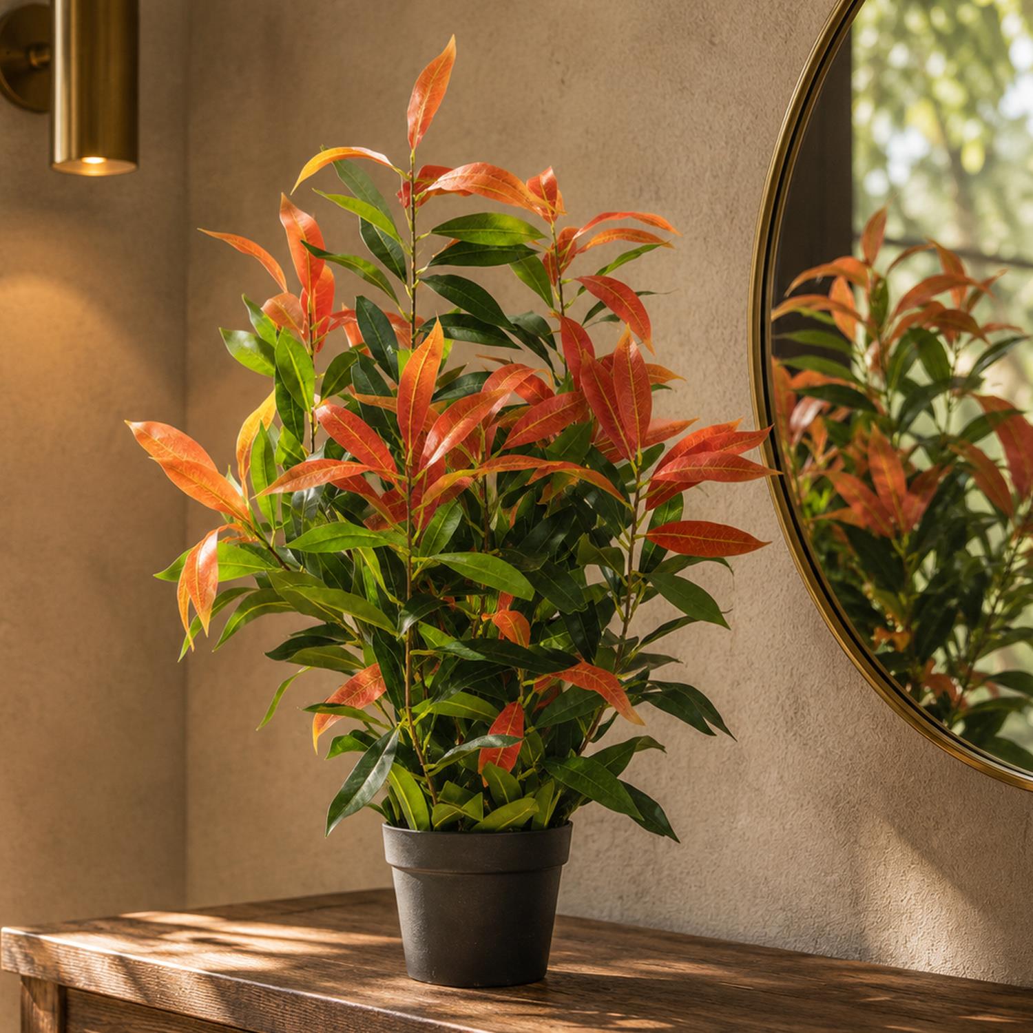 80cm Artificial Red and Green Ficus Plant