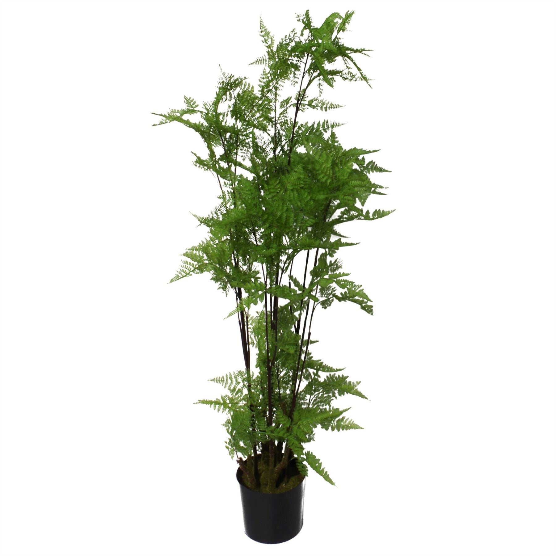 150cm Artificial Moss Base Fern Foliage Plant with Copper Metal Plater