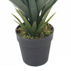 Artificial 60cm Agave Succulent Yukka Style Green Plant