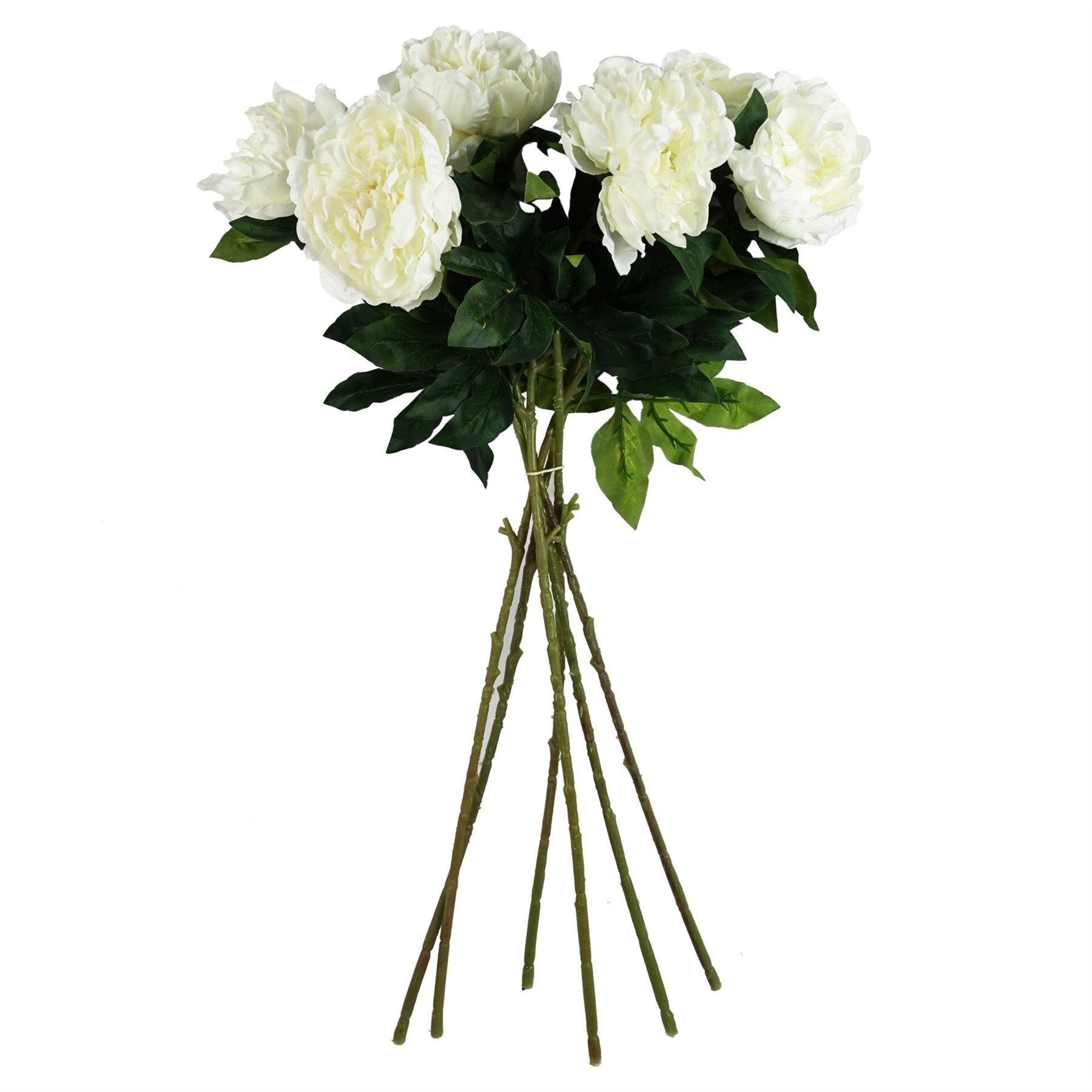80cm Artificial Cream Peony Stem