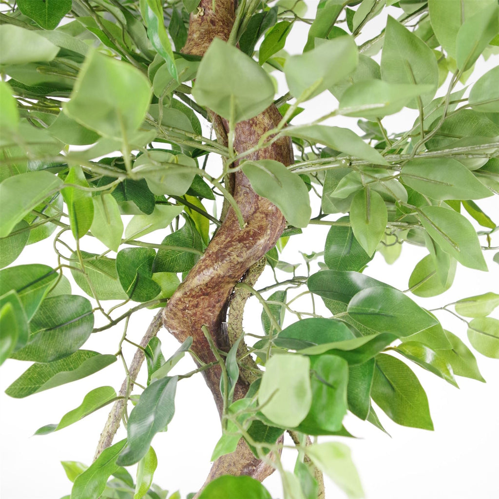 150cm Twisted Trunk Artificial Fruticosa Ficus Tree Black Planter