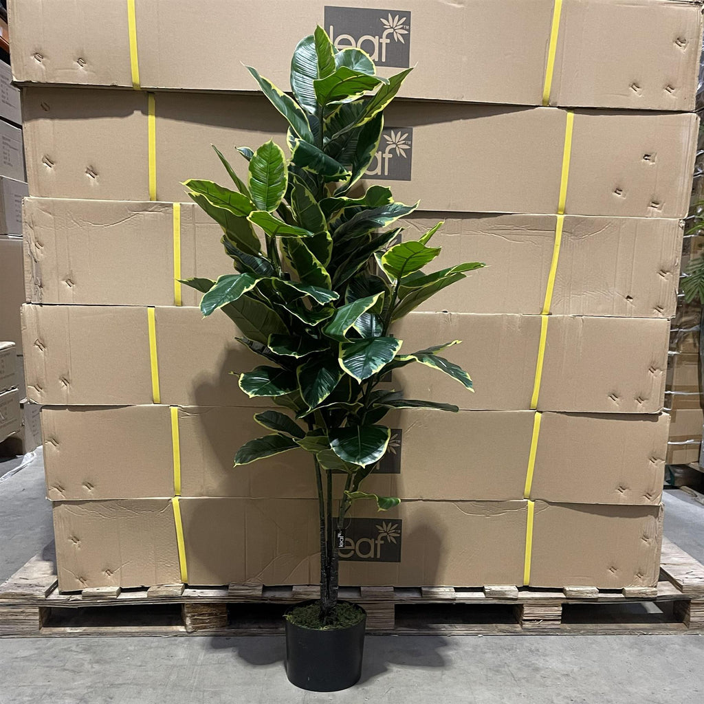 120cm Artificial Rubber Tree