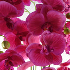 Artificial 110cm Pink Orchid Plant Artifcial 41 REAL TOUCH flowers