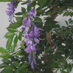 Artificial Purple Wisteria Tree 110cm