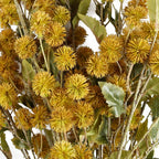 85cm Craspedia Stem Yellow Artificial