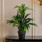65cm Artificial Large Leaf Bamboo Shrub Plant