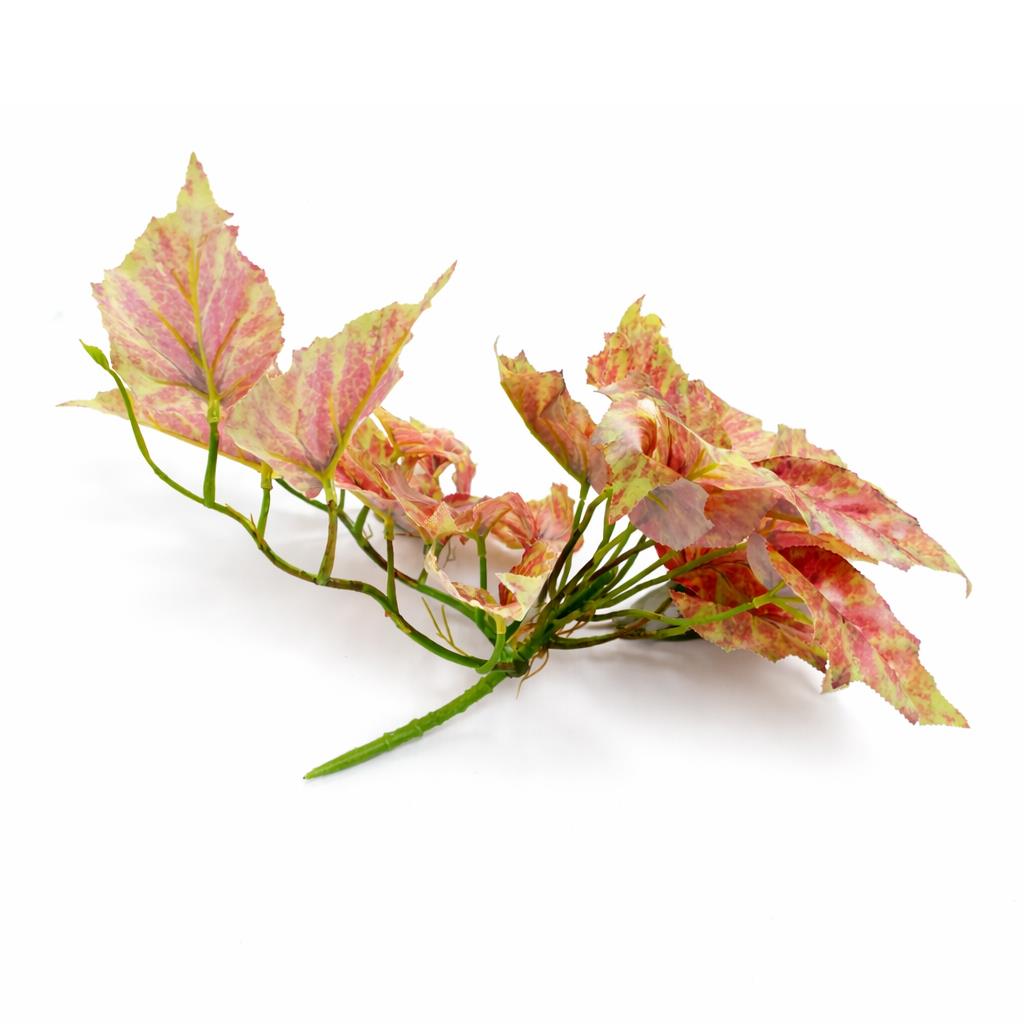 30cm Artificial Trailing Pink and Green Caladium