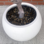 200cm XXL Artificial Olive Tree with Decorative Planter