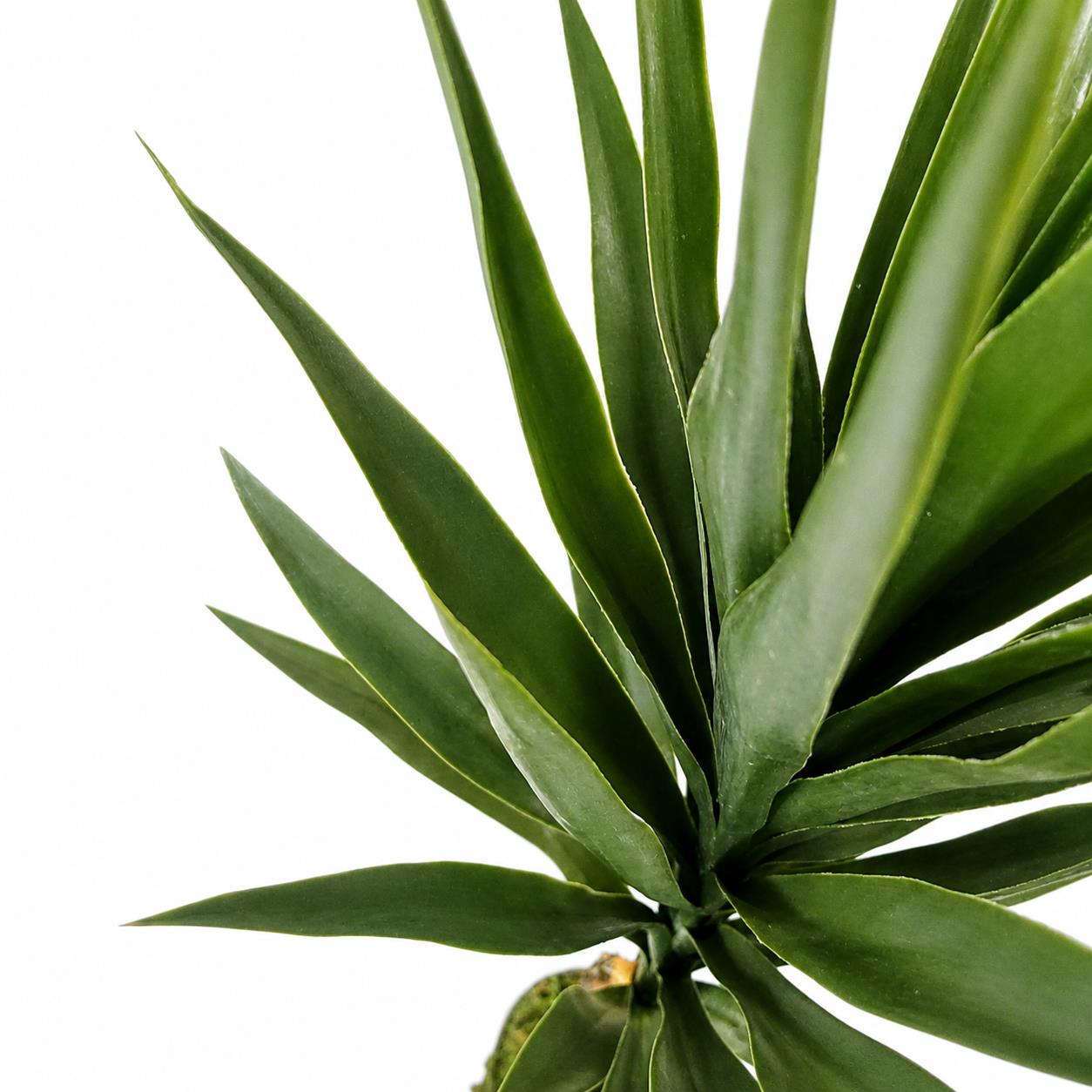 100cm YukkaTree in Pot Artificial