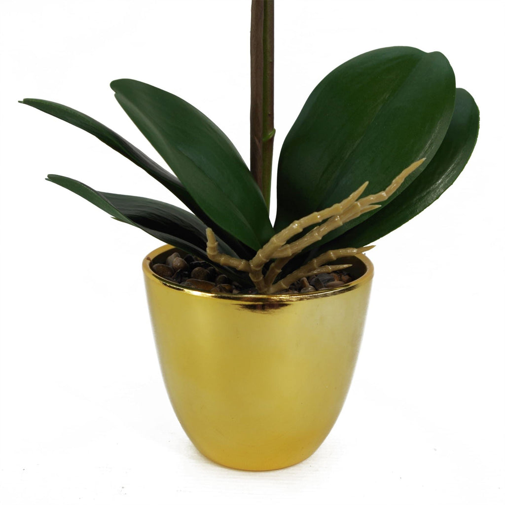 46cm Artificial Orchid White Gold