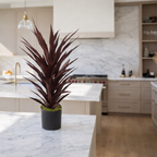 85cm Dark Red Yucca Plant Artificial