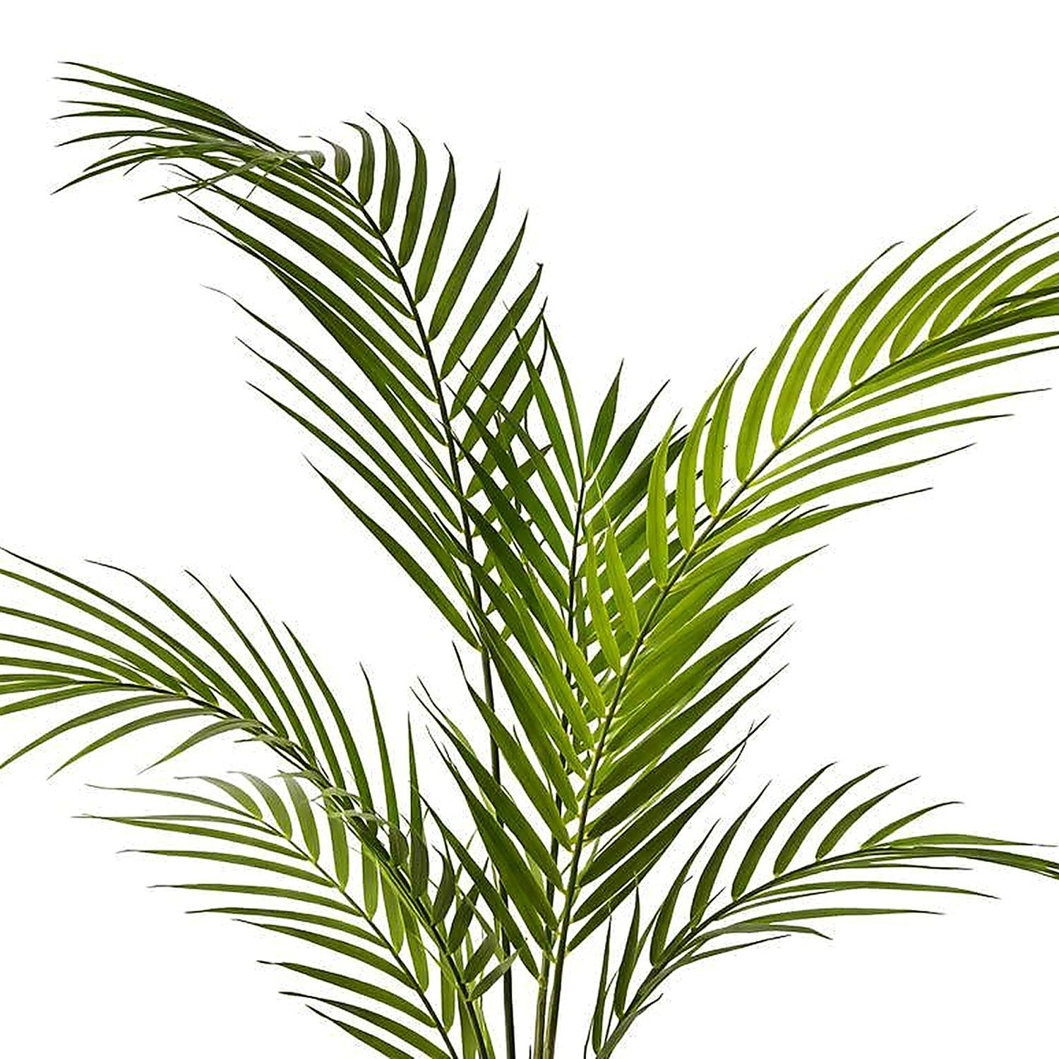 70cm Artificial Areca Palm Tree