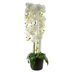 110cm Artificial White Orchid Plant Artifcial 41 REAL TOUCH flowers