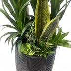 100cm Yukka Display in Pot Artificial