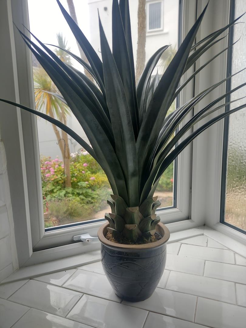 90cm Artificial Yukka Plant