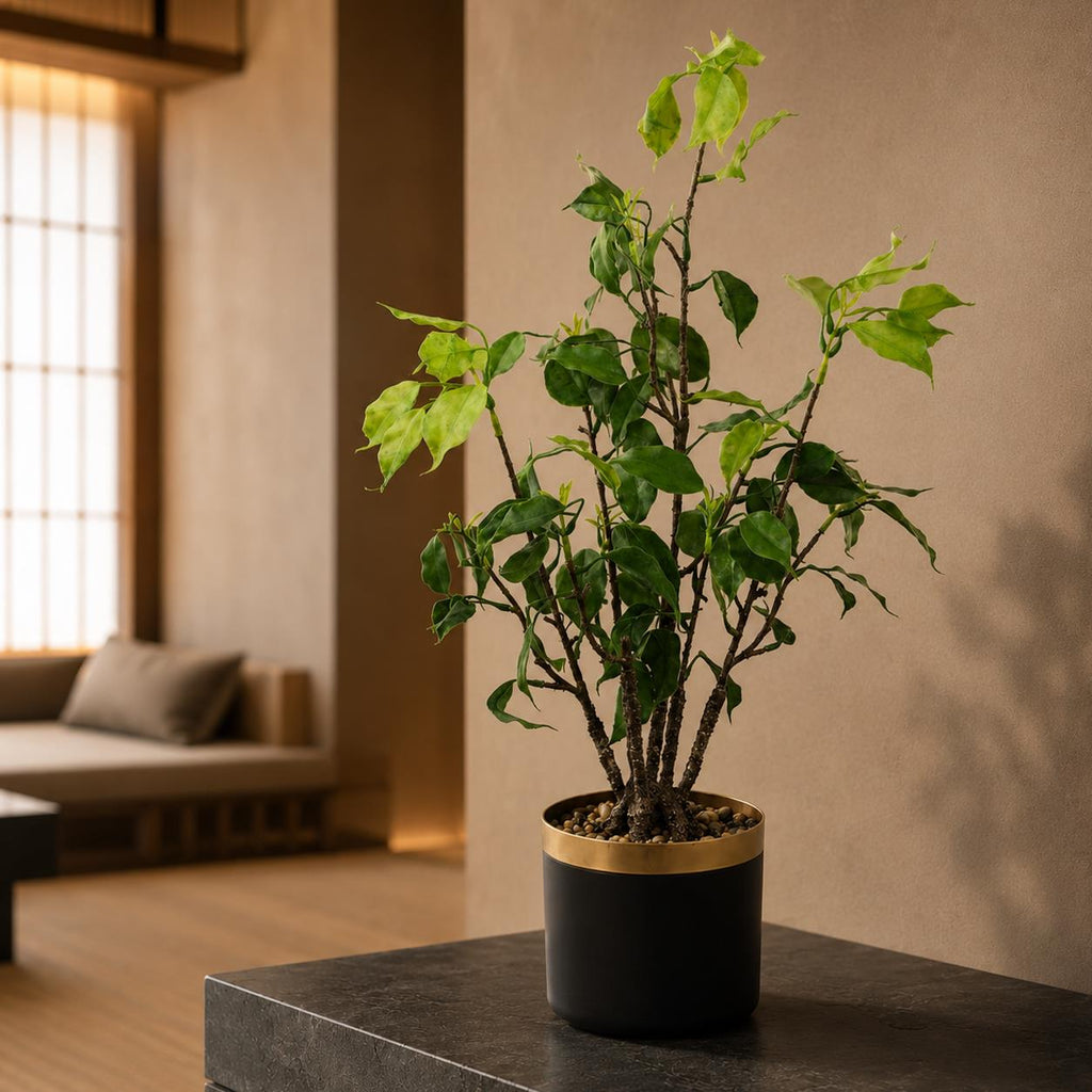 60cm Artificial Banyan Bonsai Ficus Tree