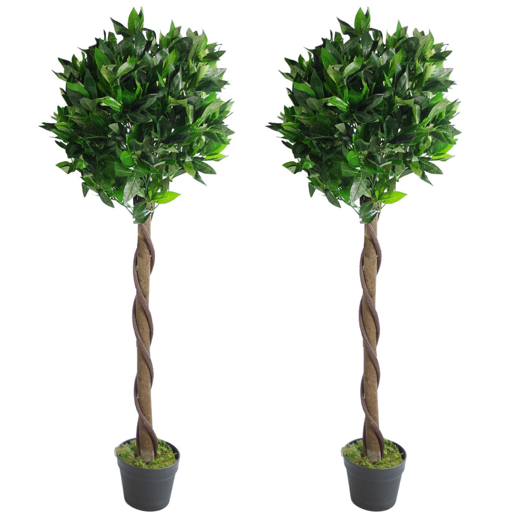 Pair of 120cm Twisted Stem Artificial Topiary Bay Laurel Ball Trees