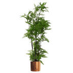 150cm Artificial Moss Base Fern Foliage Plant with Copper Metal Plater