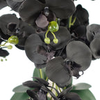 60cm Orchid Artificial Black White Ceramic Planter
