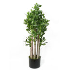 Faux Deluxe 75cm Artificial Green Jade Plant
