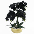 60cm Orchid Artificial Black Gold Ceramic Planter