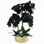 60cm Orchid Artificial Black Gold Ceramic Planter
