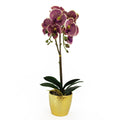 50cm Phalaenopsis Orchid Artificial Purple Leopard Gold Pot
