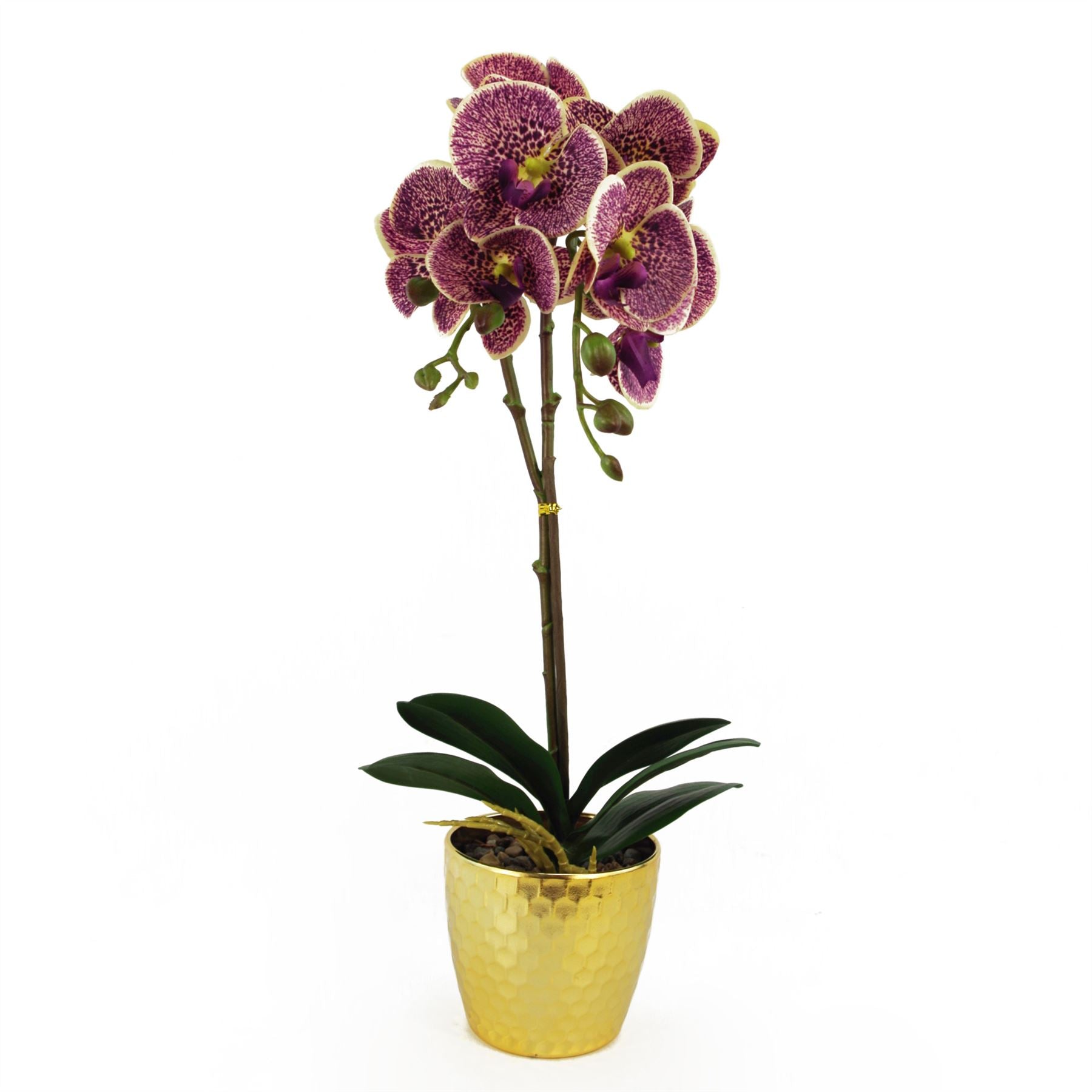 50cm Phalaenopsis Orchid Artificial Purple Leopard Gold Pot