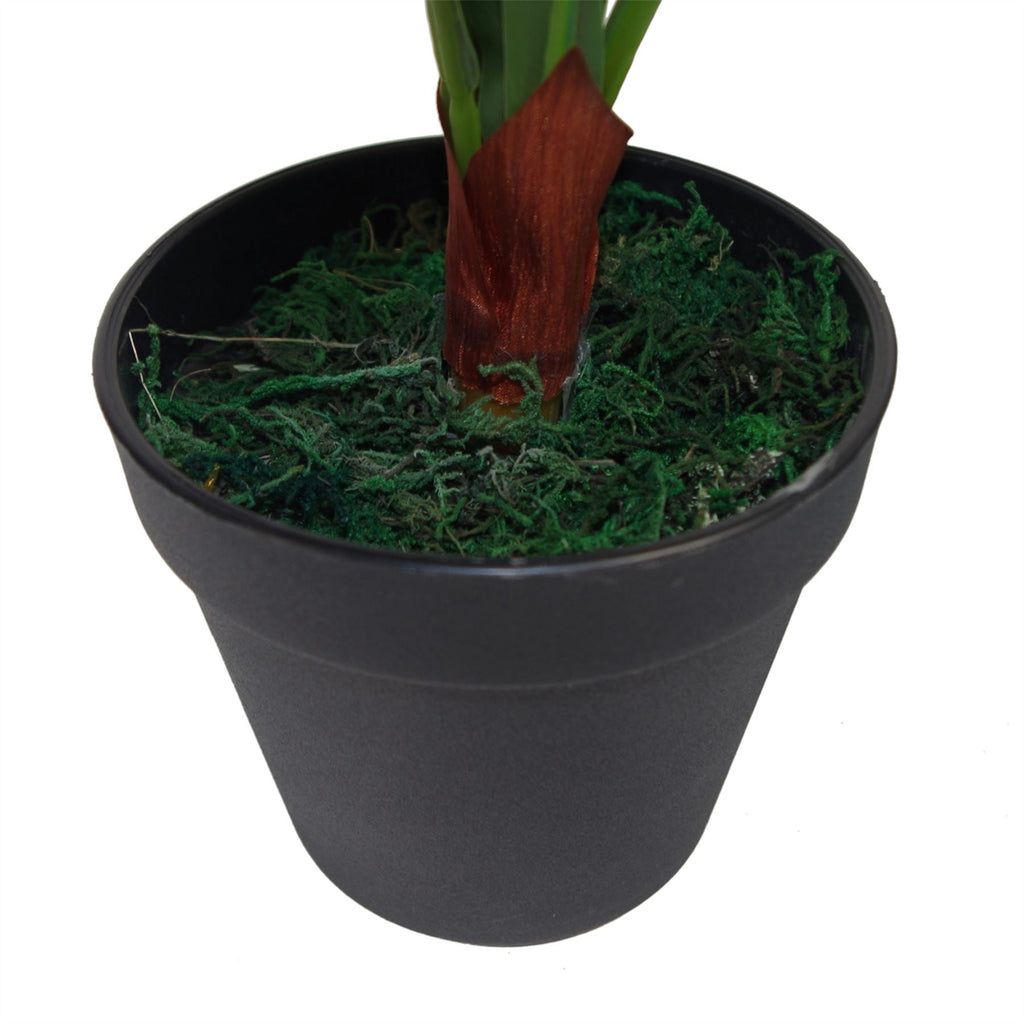 60cm Bushy Large Bird's Nest Fern Plant Artificial