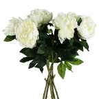 80cm Artificial Cream Peony Stem