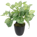 Artificial Caladium Plant with pot 40cm