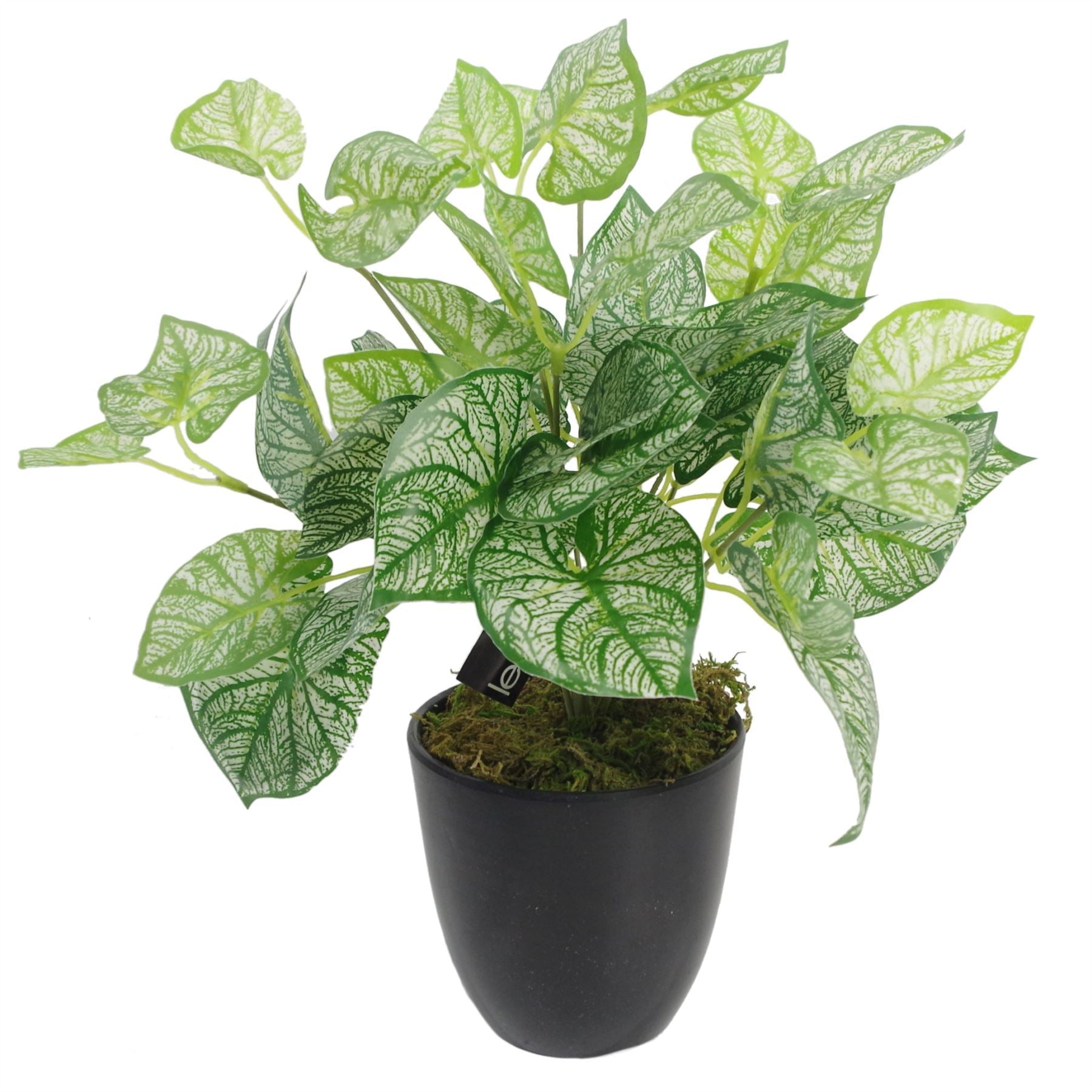 Artificial Caladium Plant with pot 40cm