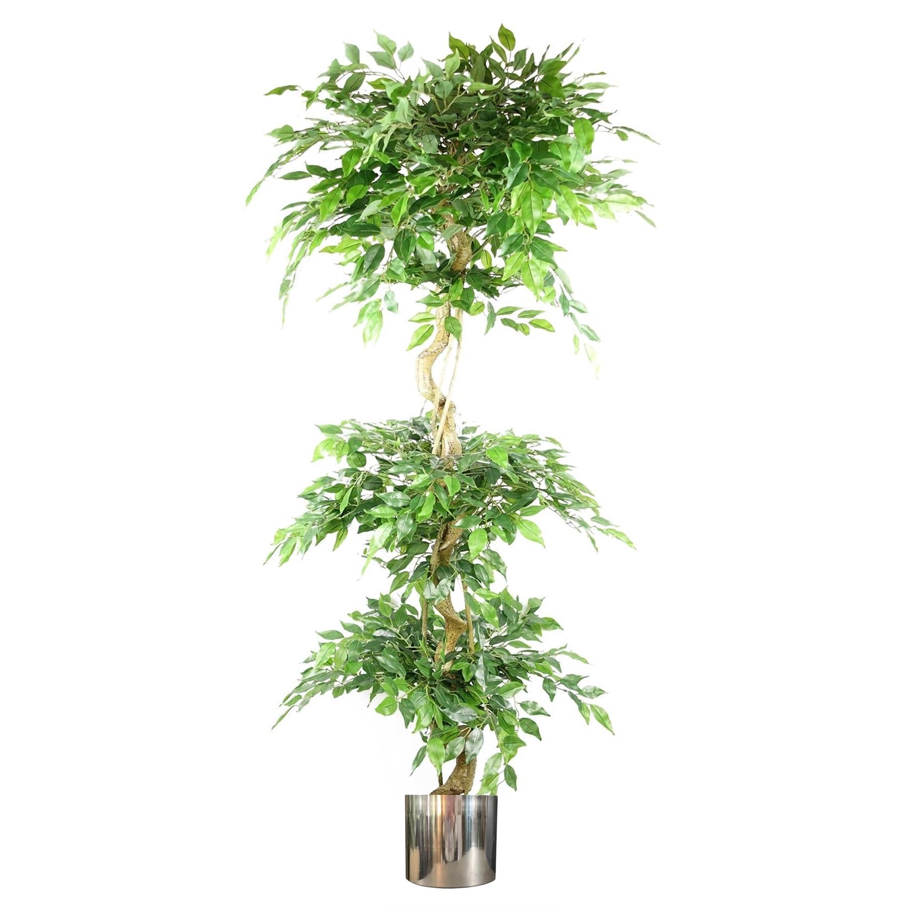 180cm Artificial Ficus Tree Triple Ball Topiary Silver Planter