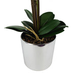 52cm Artificial Orchid Large -White Silver