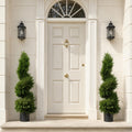 120cm Pair of Premium Artificial Cypress Spiral Topiary