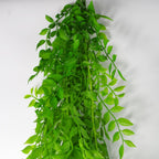 100cm Artificial Hanging String of Pearls Fern Plant Light Green
