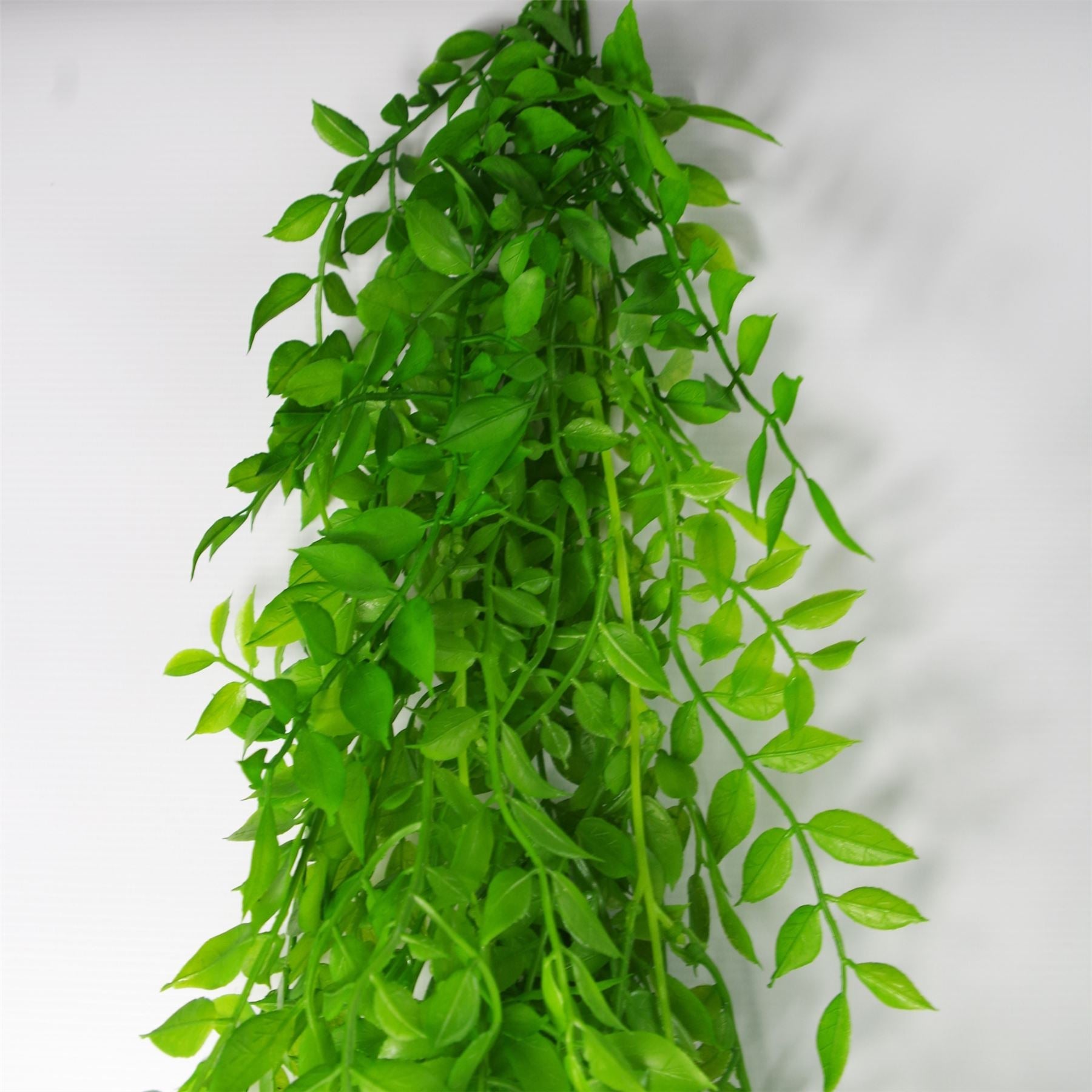 100cm Artificial Hanging String of Pearls Fern Plant Light Green