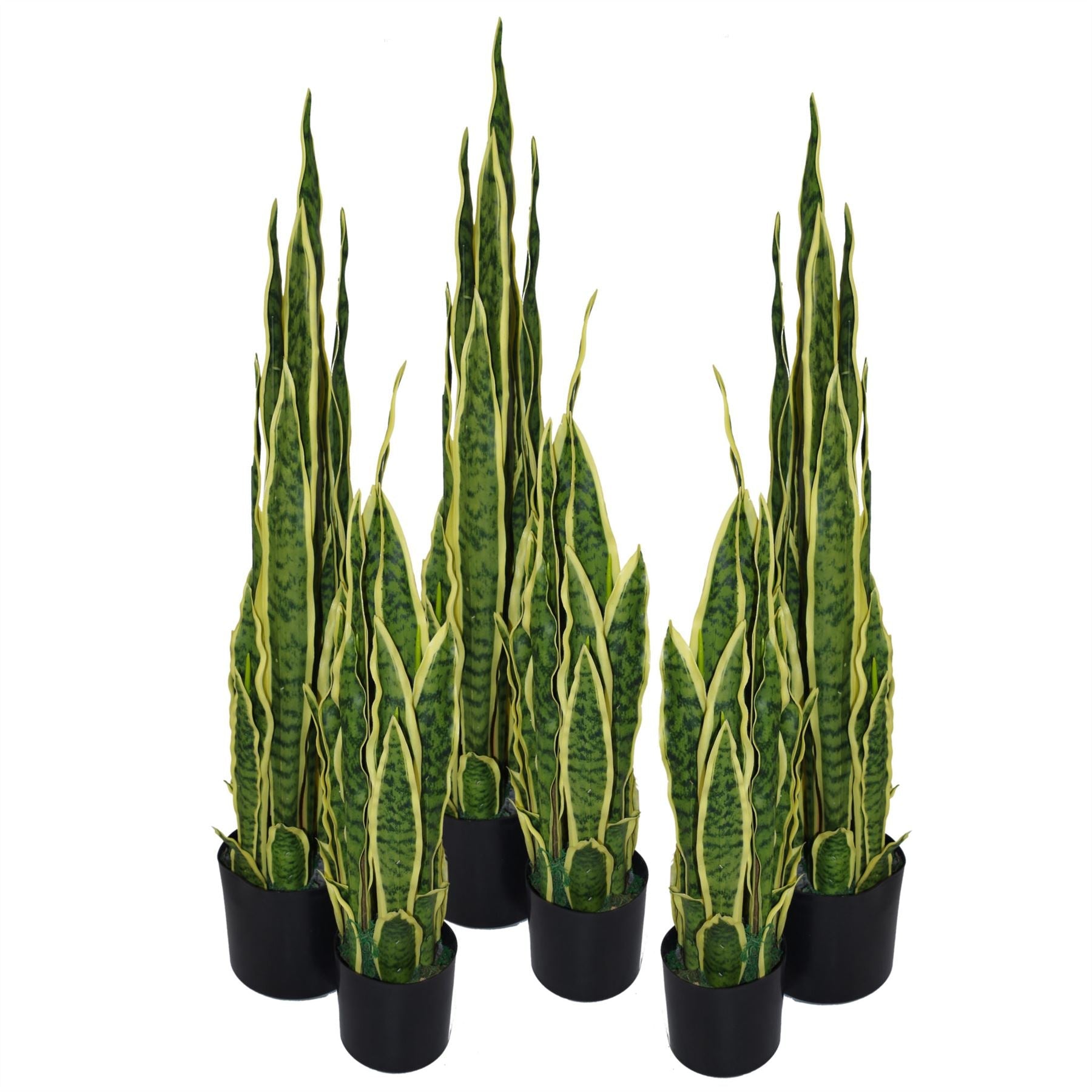 55cm Sansevieria Yellow Green Artificial Indoor Plant