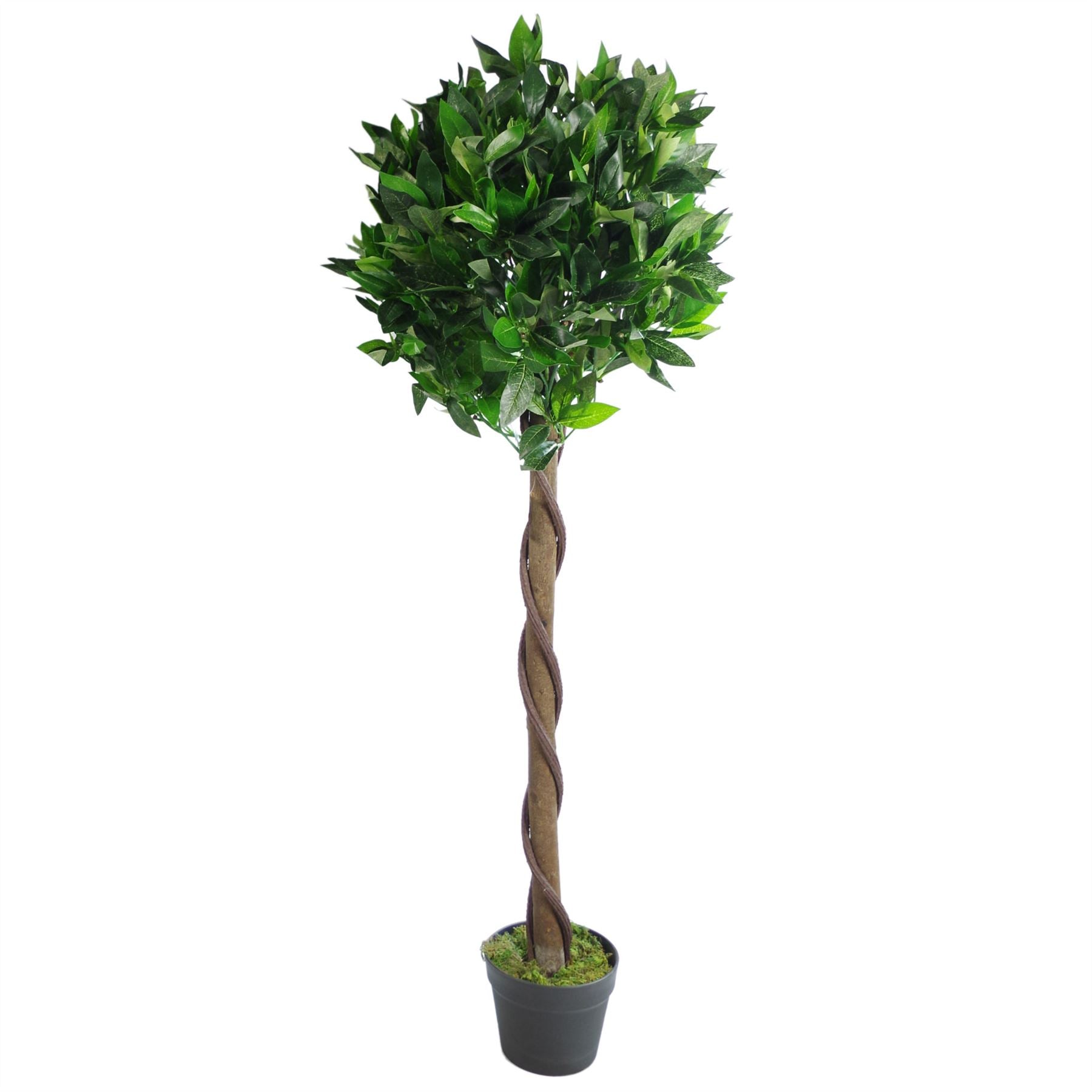 120cm Twist Natural Trunk Artificial Topiary Bay Laurel Ball Tree