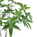 120cm Artificial Money Plant Pachira Realistic Faux Tree