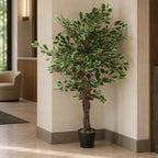 130cm LARGE Realistic White Edge Ficus Artificial Tree