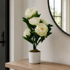 55cm Artificial White Peony Plant