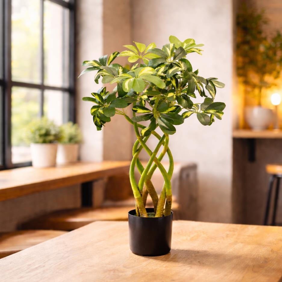 70cm Twisted Stem Modern Arboricola Artificial Plant Bonsai Bush