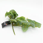 25cm Artificial Trailing Arrowhead Vine Plant