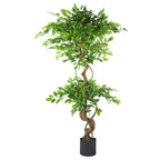 150cm Twisted Trunk Artificial Fruticosa Ficus Tree Black Planter