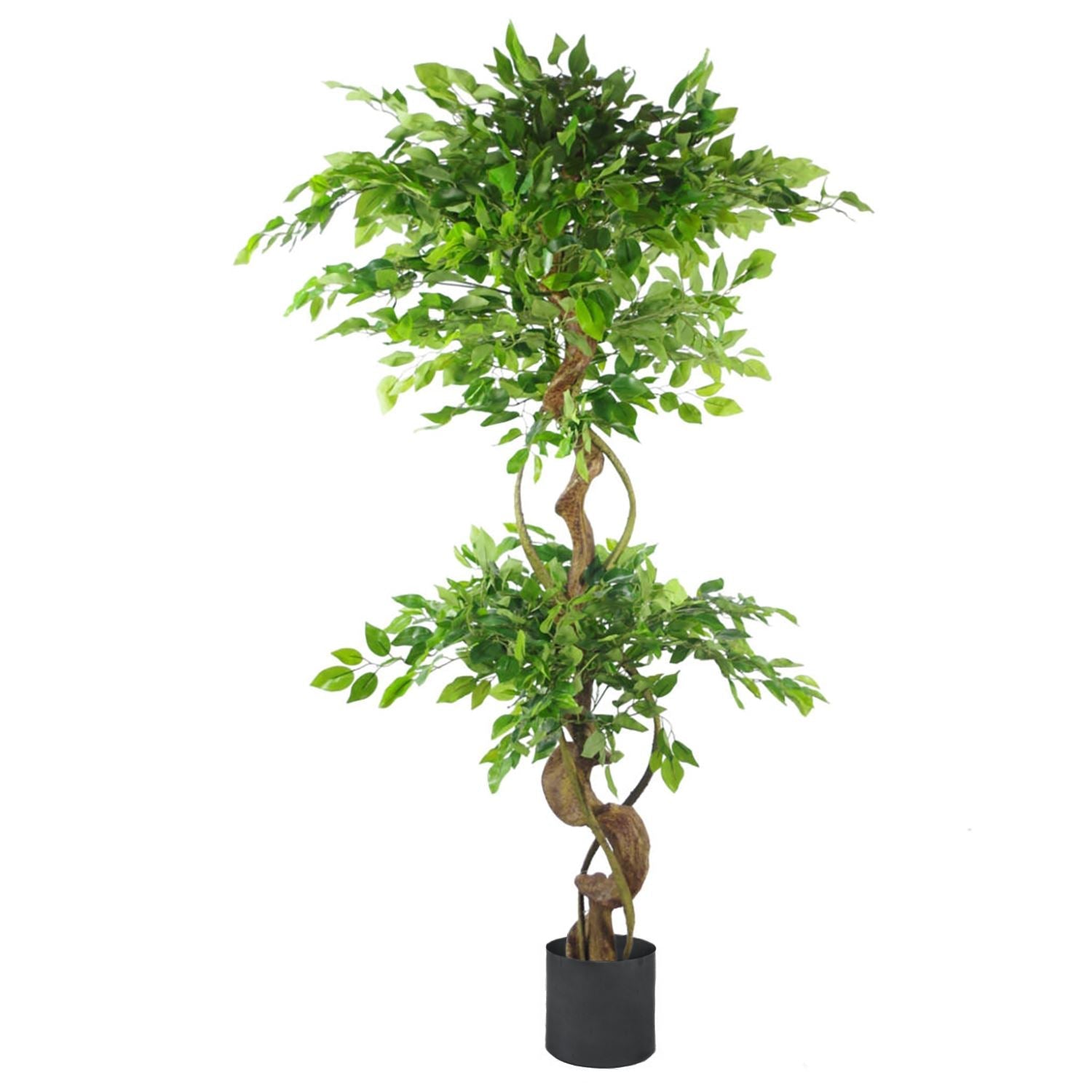 150cm Twisted Trunk Artificial Fruticosa Ficus Tree Black Planter
