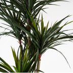 120cm Artificial UV Resistant Yucca