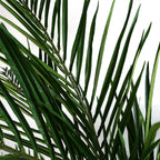 Artificial 150cm Areca Palm Natural Tree
