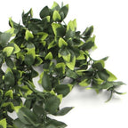 Hanging UV and Fire Resistant Artificial Pothos Plant 71cm